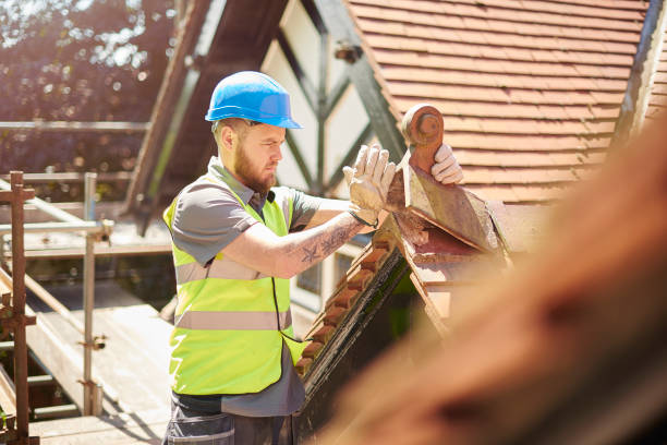 Best Roof Gutter Cleaning  in Adamstown, MD